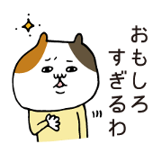 Chum tortoise shell cat Chum tortoise shell cat