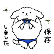 The Maltese MULTA The Maltese MULTA