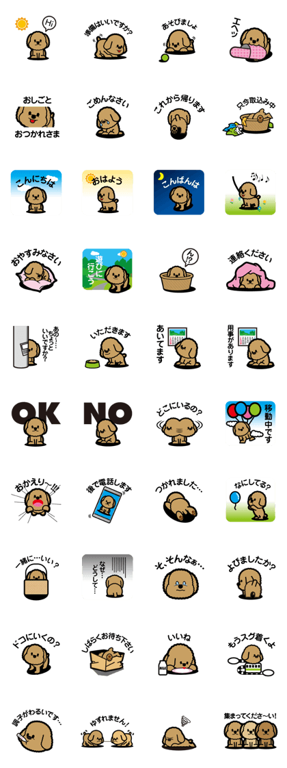 brown toy poodle brown toy poodle