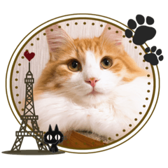 kurumi_20200413203918