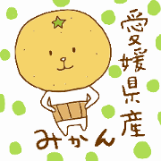 Orange from Ehime Orange from Ehime