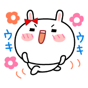 Cute rabbit MARU-USAKO