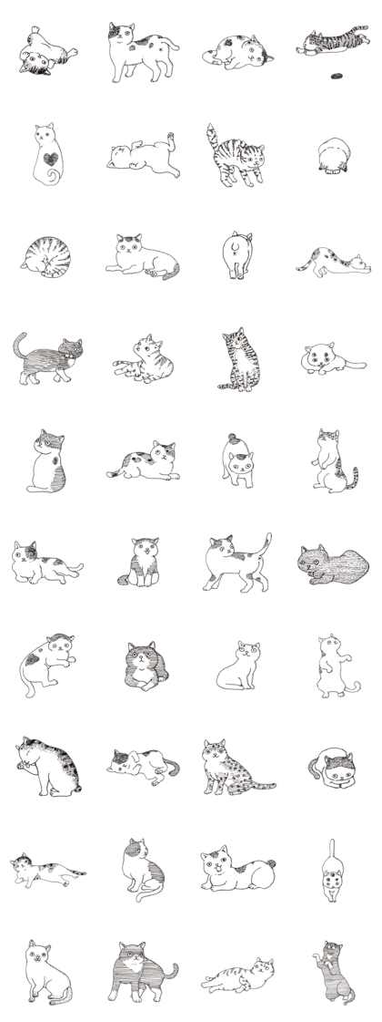 The Monochrome Cats!