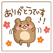 Daily life of the round bear