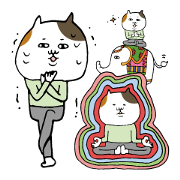 Yoga tortoiseshell cat Yoga tortoiseshell cat