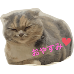 Sena and Runa