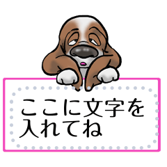 Basset hound 35(dog)