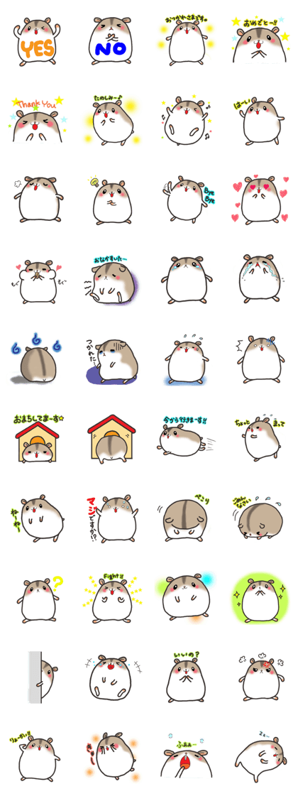 Djungarian hamster -Hamuta-