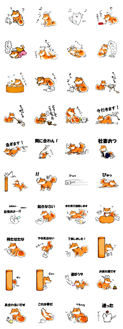 Good friend of cats and dogs