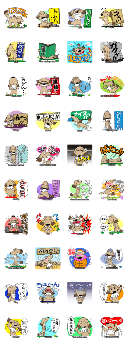 Message dog choco2 Message dog choco2