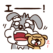 Healthy and fun dog!! (Schnauzer)  2