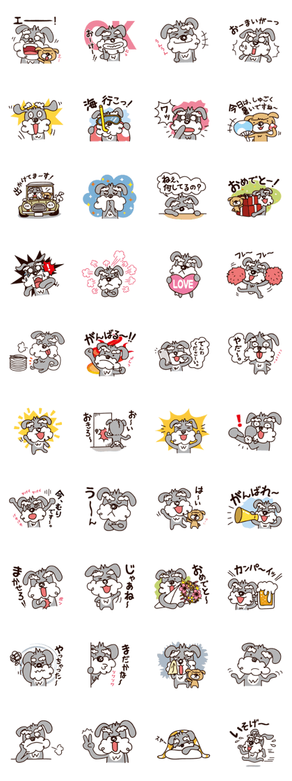 Healthy and fun dog!! (Schnauzer)  2