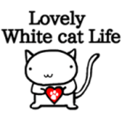 White cat Life. English Version.