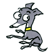 Bisco,Boomboom and I.Greyhounds-2 Bisco,Boomboom and I.Greyhounds-2