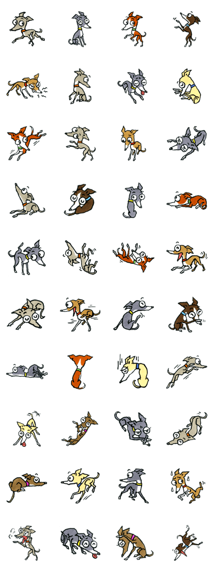 Bisco,Boomboom and I.Greyhounds-2 Bisco,Boomboom and I.Greyhounds-2