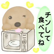 Golden Retriever. Mother Edition. Golden Retriever. Mother Edition.