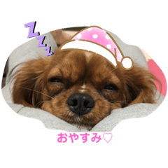 merrow_stamp_JP