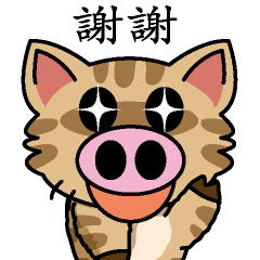 Cat of a pig business Chinese version 1