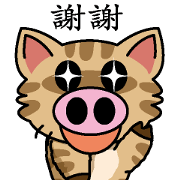 Cat of a pig business Chinese version 1 Cat of a pig business Chinese version 1