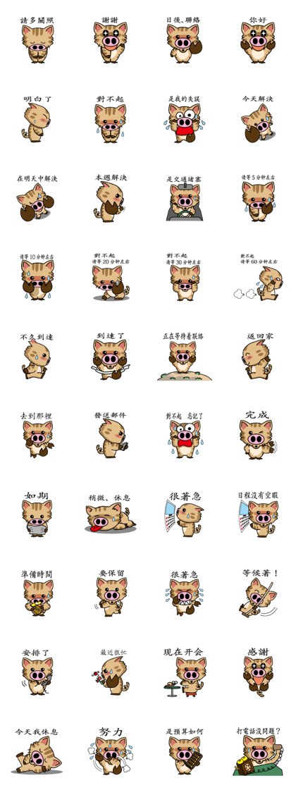 Cat of a pig business Chinese version 1 Cat of a pig business Chinese version 1