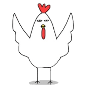 Chicken is looking closely Chicken is looking closely