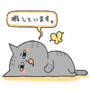 Bold Cat Weather. Bold Cat Weather.