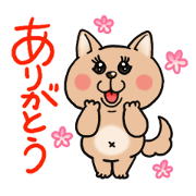 Daily life of Coco and Lily