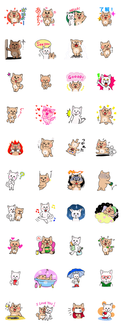 Daily life of Coco and Lily