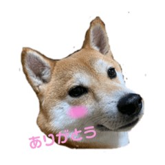 kazumi_20200409222033