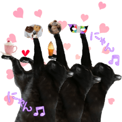 black cat named kuromitsu