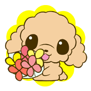 poodletan 2 poodletan 2