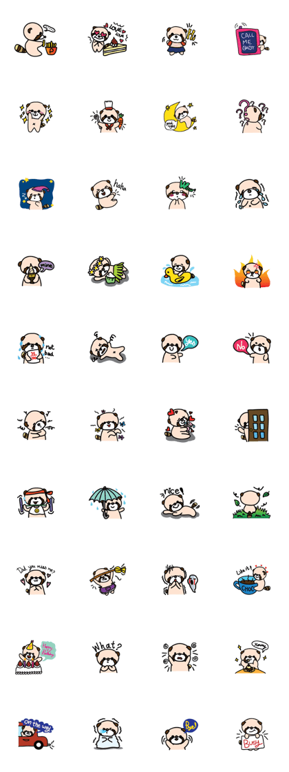 Pangpui : The Clumsy Raccoon