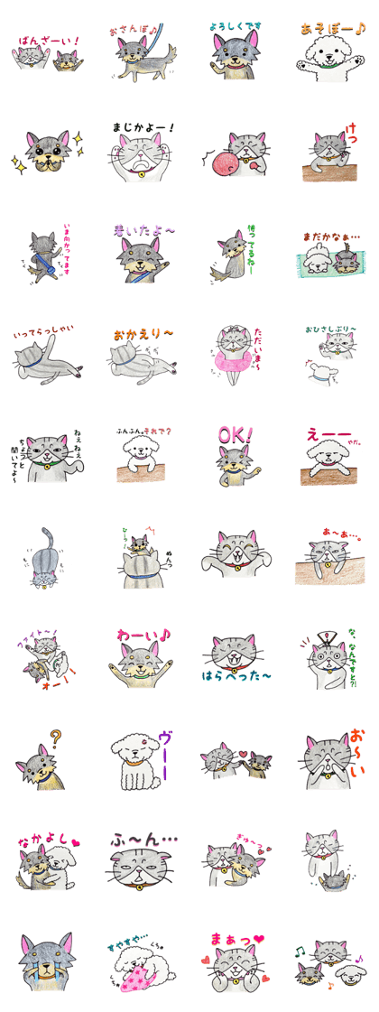 Kotachan with friends Kotachan with friends