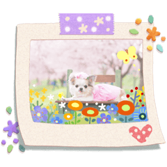 haruna_20200414034726