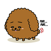 Cute dog Mr.WM Cute dog Mr.WM