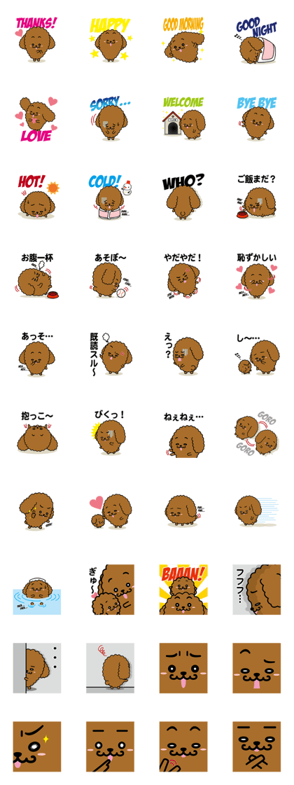 Cute dog Mr.WM Cute dog Mr.WM