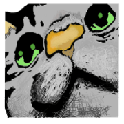 Real cat Series 2 Real cat Series 2