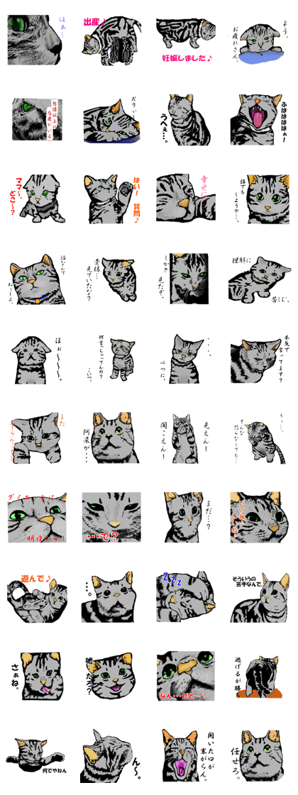 Real cat Series 2 Real cat Series 2