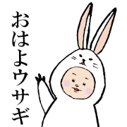 momo and animals momo and animals