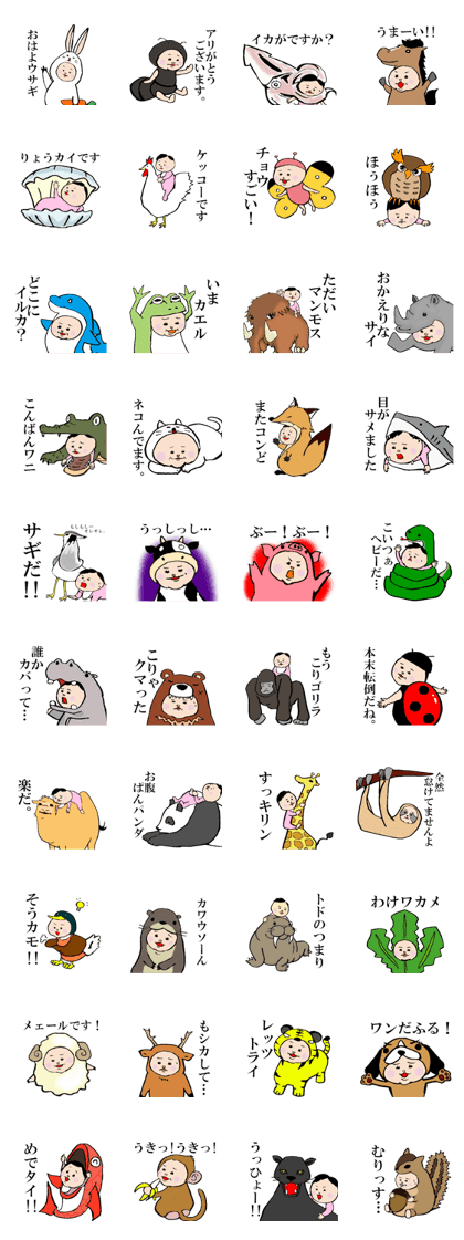 momo and animals momo and animals