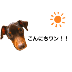 YUKARI_20200414030027