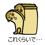 Life with Slow Loris 2 Life with Slow Loris 2