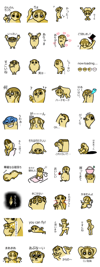 Life with Slow Loris 2 Life with Slow Loris 2