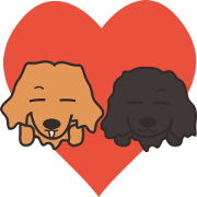 Dachshund TANG & BAO Dachshund TANG & BAO