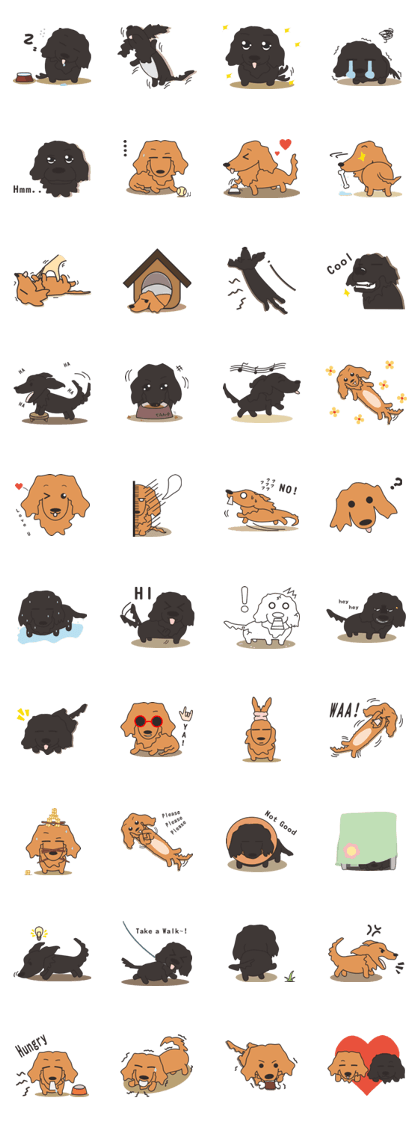 Dachshund TANG & BAO Dachshund TANG & BAO