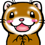 I love ferrets I love ferrets