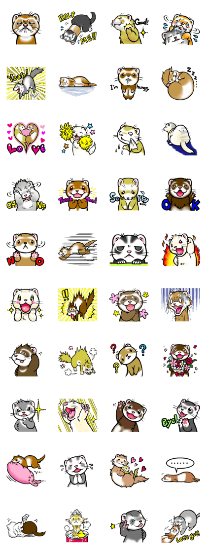 I love ferrets I love ferrets