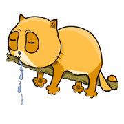 I am a funny cat! I am a funny cat!