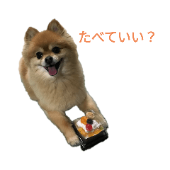 Pomeranian Stamp buddy