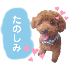 cocoa_20200409201500